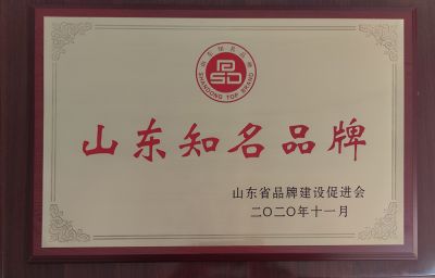 山东知名品牌202011月