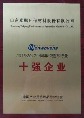 十强 2016-2017年非织造布十强