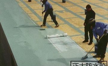 建筑防水